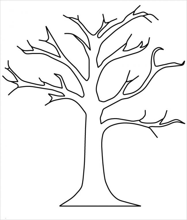 Hướng dẫn chi tiết cách vẽ cây đơn giản với 9 bước cho bé tô màu