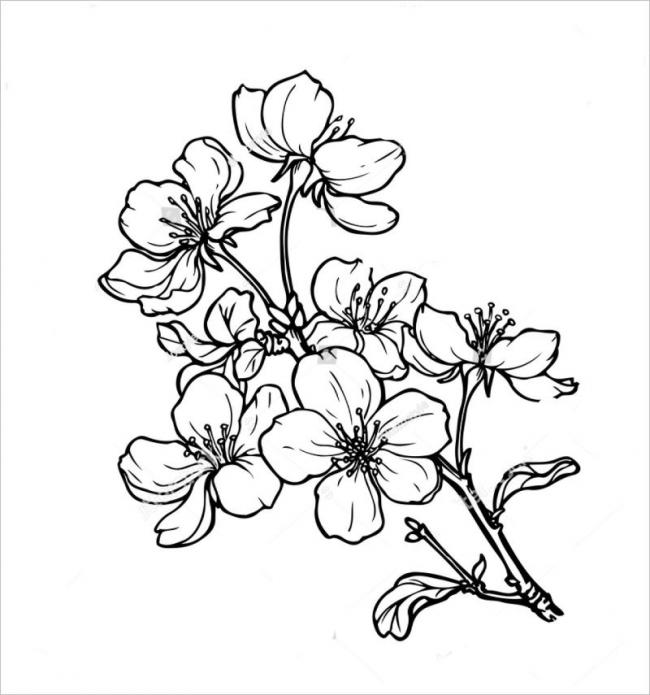 Hoa mai tô màu là một hoạt động rất thú vị và giúp bạn giải trí sau những giờ làm việc căng thẳng. Hãy xem những bức tranh hoa mai tô màu để cảm nhận được vẻ đẹp của loài hoa truyền thống này.