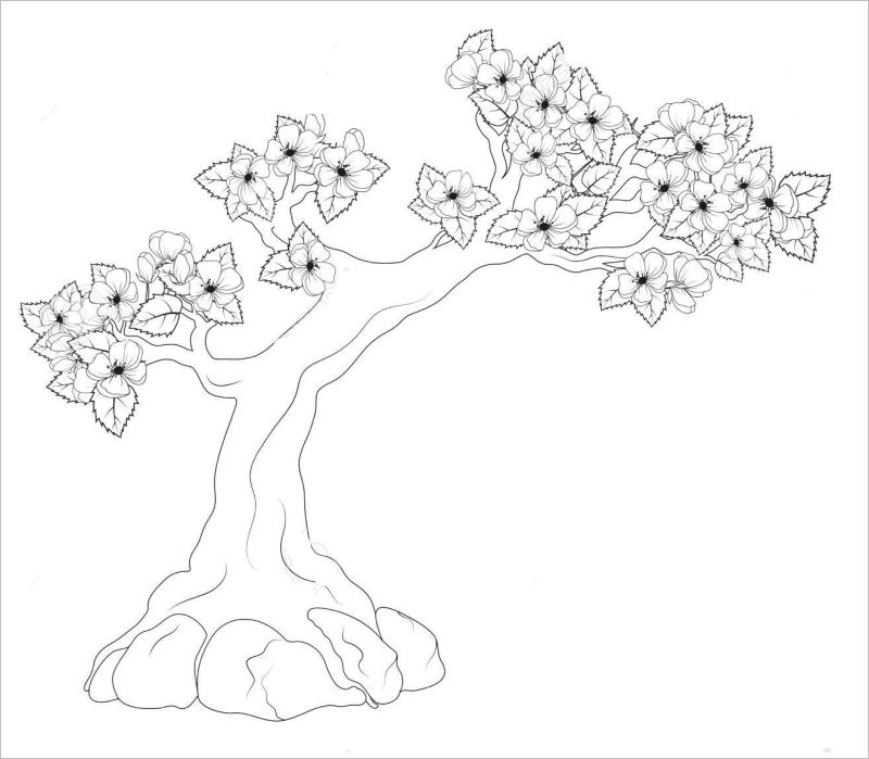 6 Bước vẽ cành hoa mai bằng bút chì đơn giản  Zest Art