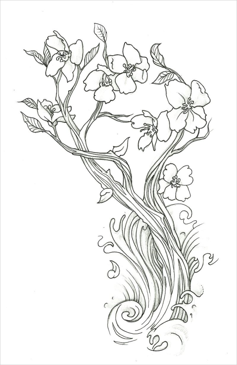 Bí kíp cách vẽ cây mai ngày tết dành cho các bạn yêu thích mỹ thuật