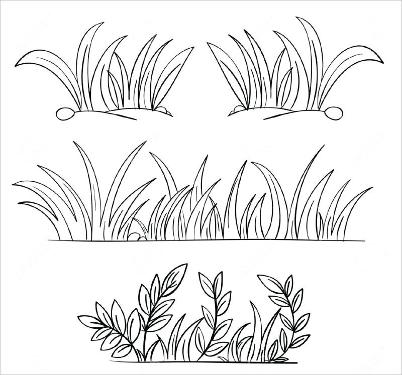 Xem hơn 100 ảnh về hình vẽ bụi cỏ - daotaonec