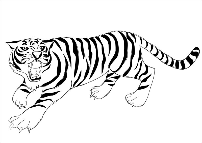 Bỏ túi ngay các cách vẽ con Hổ đáng yêu dễ thương cho người mới bắt đầu