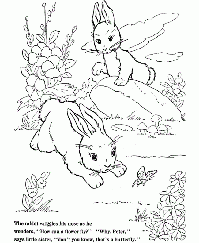 Hai chú thỏ con cùng nhau hái hoa đuổi bướm