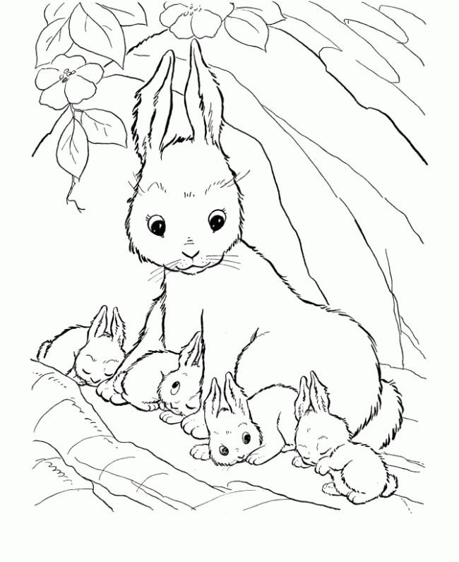 Tranh tô màu con thỏ đẹp dễ thương nhất cho các bé yêu
