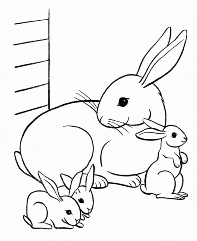 Thỏ mẹ cùng 3 chú thỏ con đáng yêu