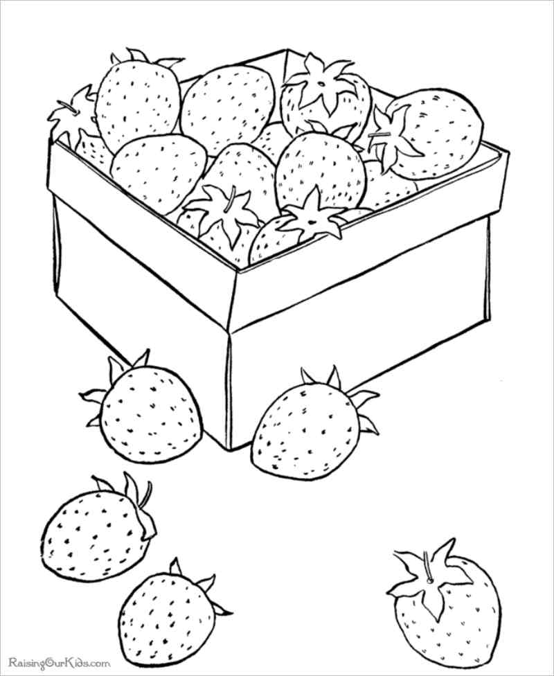 Vẽ và tô màu quả dâu tây nho dứa  Drawing strawberry grapes pineapple  and coloring for kids  YouTube