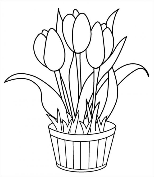 hình vẽ hoa tulip rất thích hợp đặt trong phòng khách