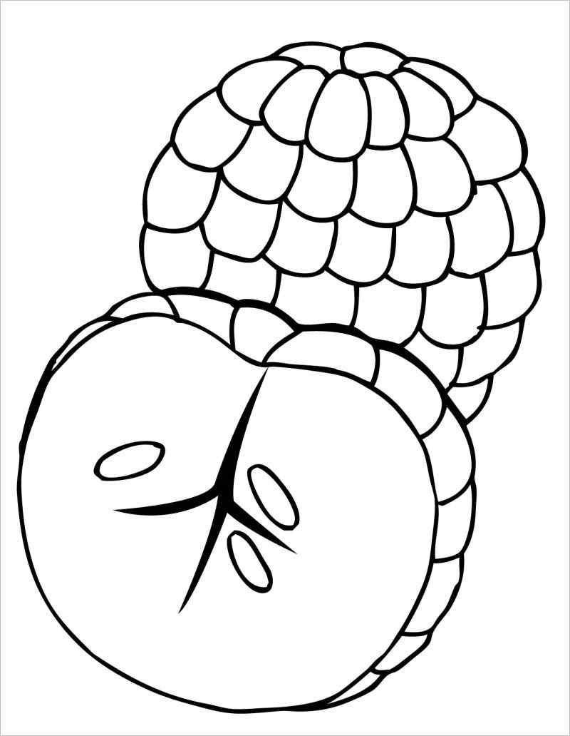 Draw And Color Fruits| Vẽ Và Tô Màu Trái Cây| Fruit Tekenen | Xoài, Trái cây,  Cây