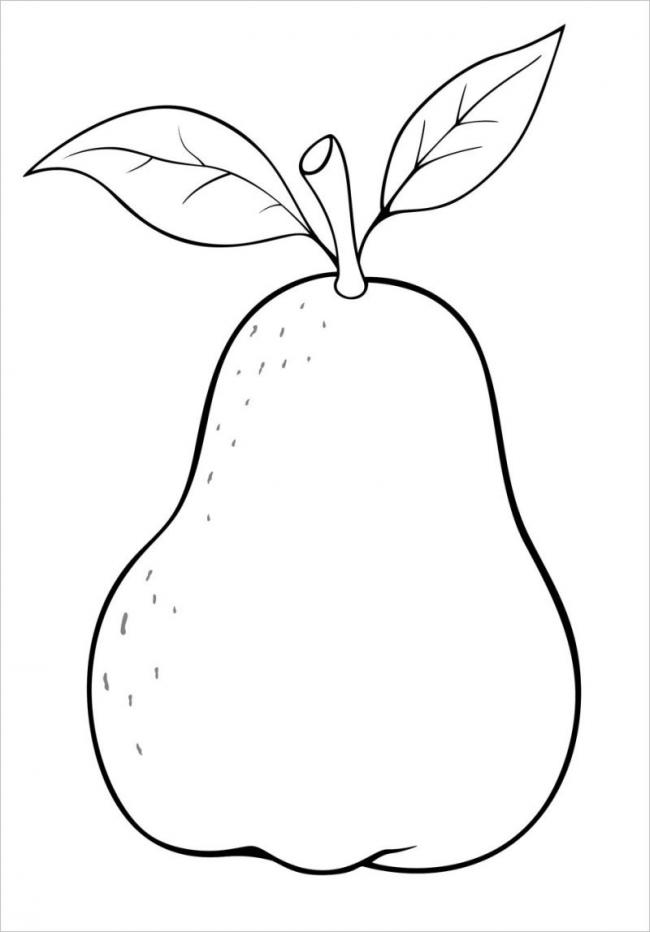 Logo đồ họa Orange Vẽ Hoạt hình Bí ngô Quả cầu Trái cây Quả bí mùa  đông Hoạt hình Máy ảnh png  PNGEgg