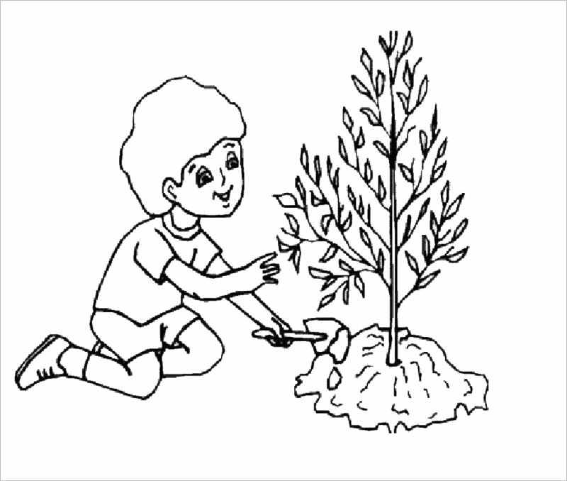 Tranh tô màu cây xanh đơn giản dành cho bé trai và bé gái tô màu