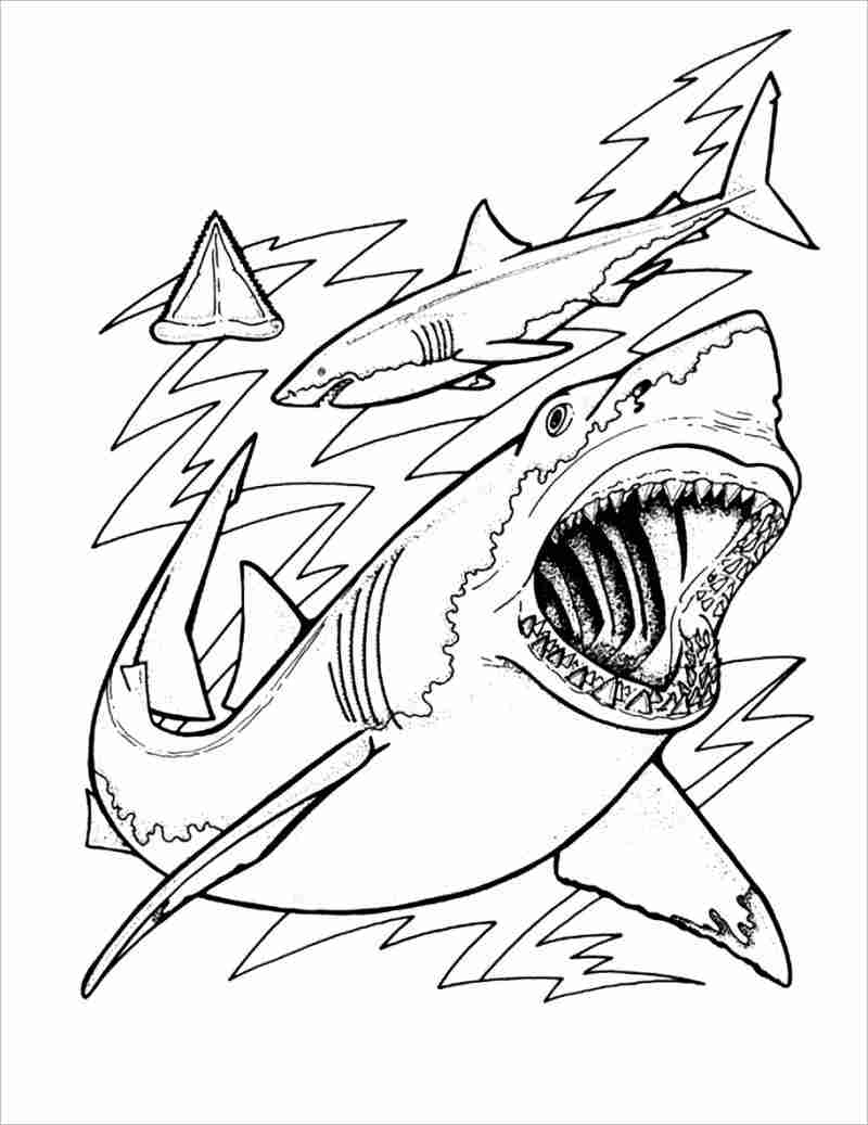 Khám phá với hơn 321 vẽ con cá mập đơn giản tuyệt vời nhất ...