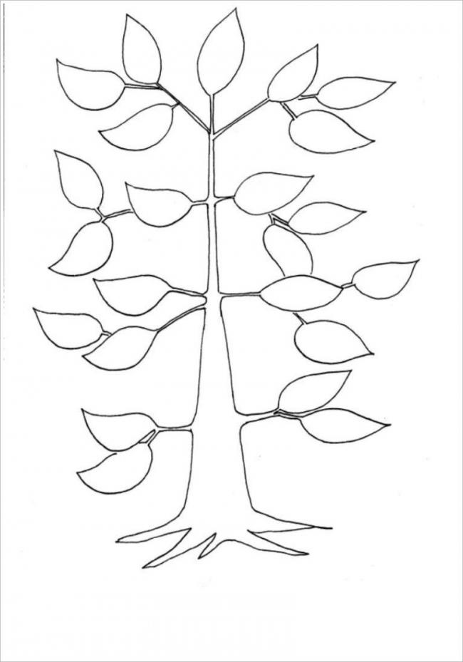 Hình ảnh cây trong giai đoạn phát triển lá và cành
