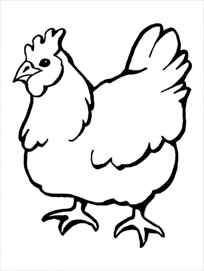 Thịt gà phim Hoạt hình Vẽ  con gà trống png tải về  Miễn phí trong suốt  Hoa png Tải về