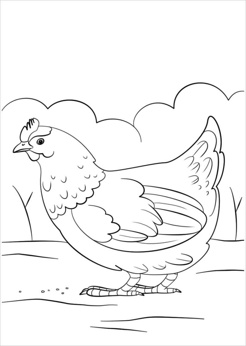 Cách vẽ tranh tô màu CON GÀ MÁI  How to Draw a Chicken  YouTube