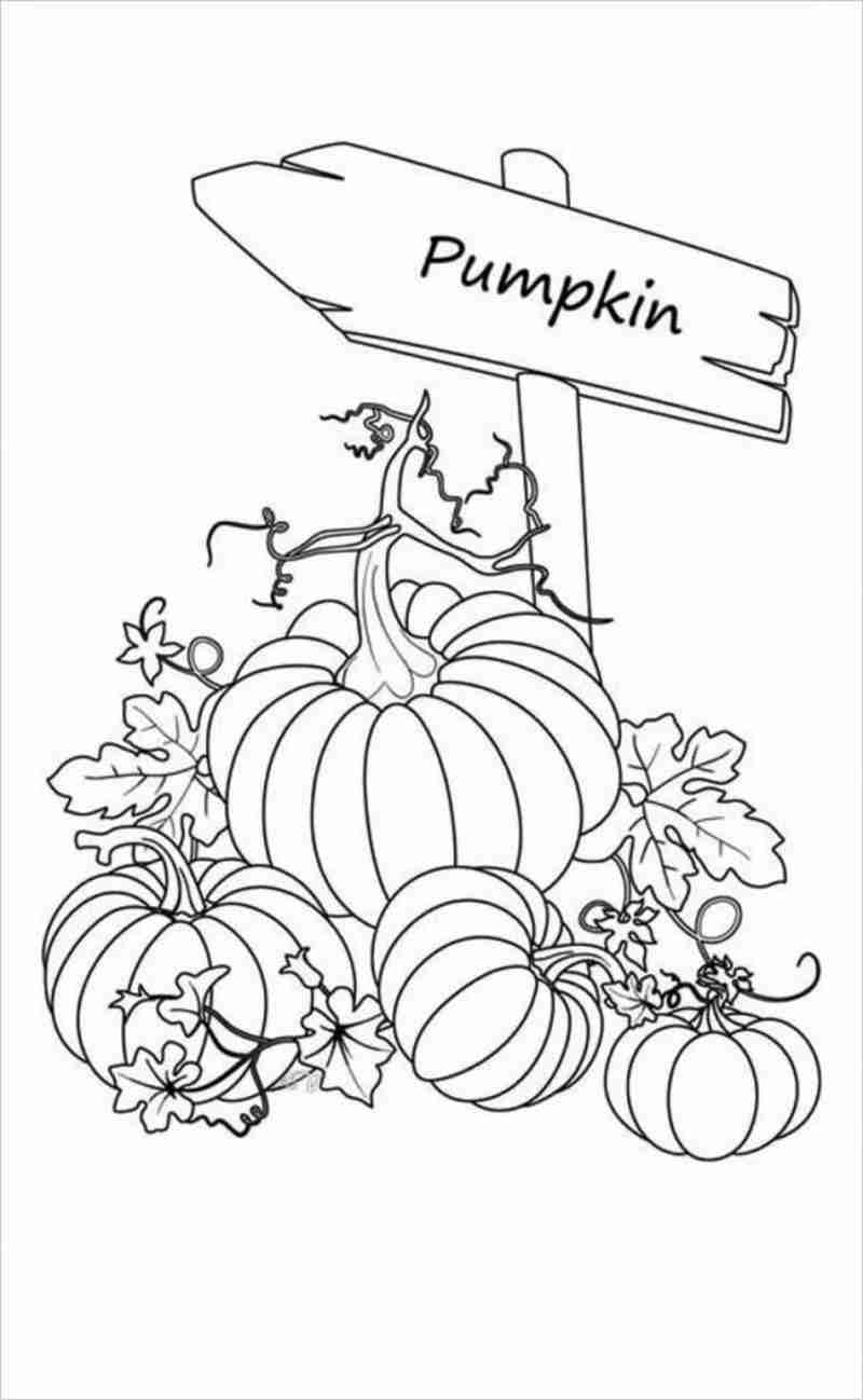 Tuyển tập 50+ tranh tô màu halloween cho bé tập tô 42 | Trang tô màu,  Halloween, Chủ đề