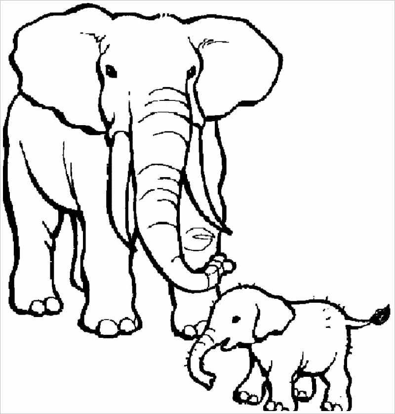 Download] Tranh tô màu cho bé 2 – 3 tuổi | Elephant coloring page, Cartoon  coloring pages, Coloring pages