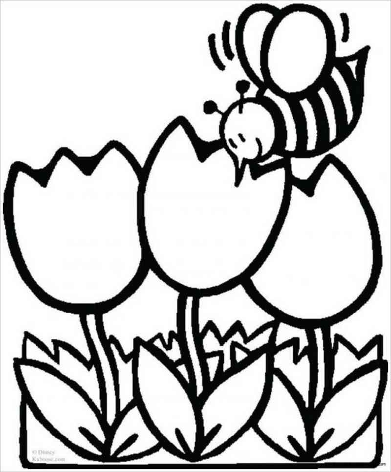 Chú ong vàng bên khóm hoa tulip màu đỏ thắm