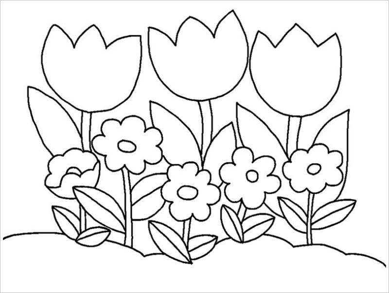Cập nhật với hơn 56 về hình vẽ hoa tulip  trieuson5