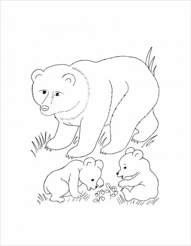 Gấu mẹ và hai con