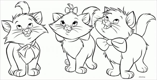 hình ảnh ba con mèo