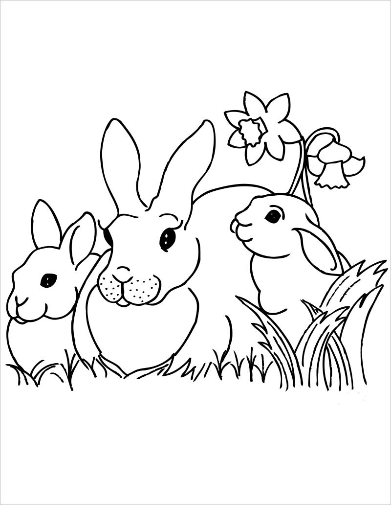 Tải miễn phí bài tập tô màu - Tô màu Con thỏ 2 - STEAM KIDS
