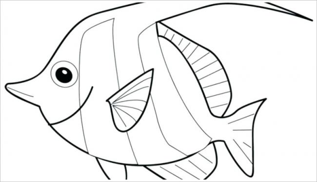 Hình vẽ cách vẽ con cá hoạt hình đẹp dễ thương đơn giản nhất  Trung Tâm  Đào Tạo Việt Á