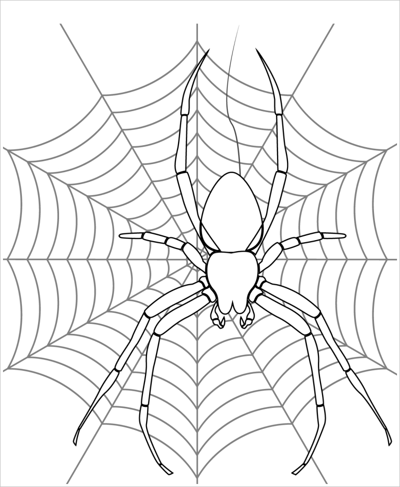 Thư viện Hình ảnh vẽ con nhện Phù hợp cho trẻ em học tập