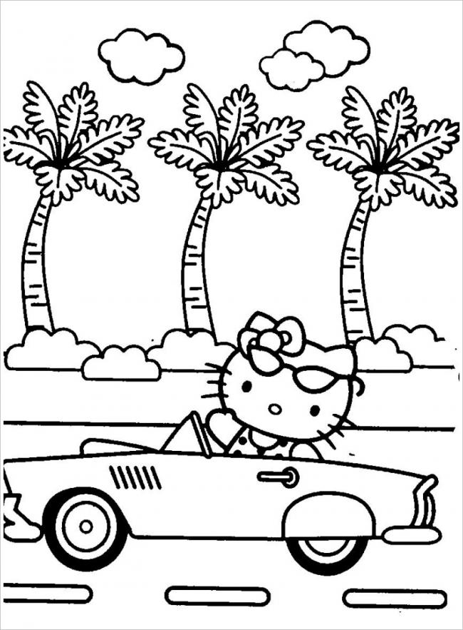 Mèo Hello Kitty lái xe hơi 