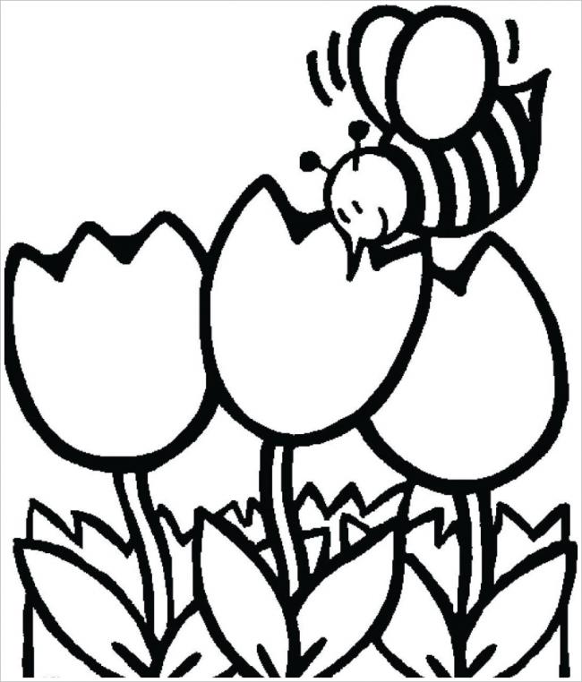 Chú ong nhỏ bên khóm hoa