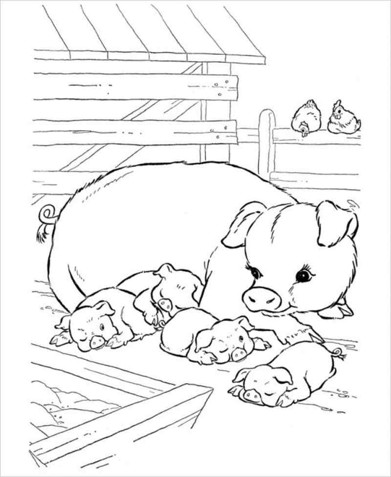 Tổng hợp tranh vẽ con lợn với những hình ảnh đáng yêu