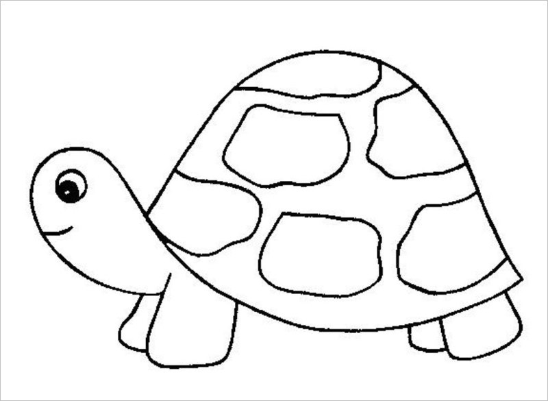 Tranh rỗng tô màu con rùa