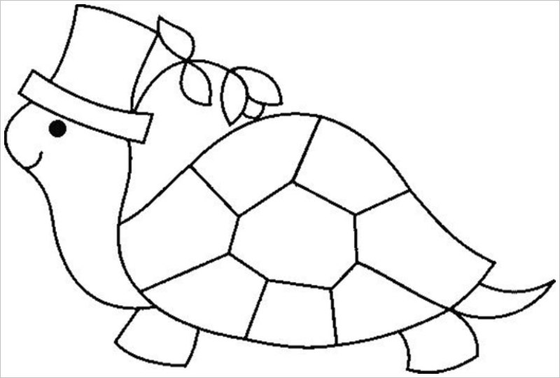 Cách vẽ con rùa  Dạy Vẽ