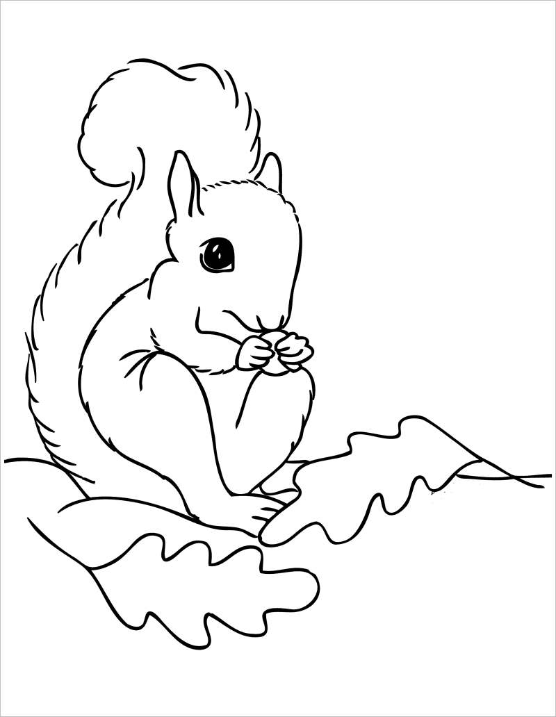 Xem hơn 100 ảnh về hình vẽ con sóc dễ thương  NEC