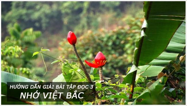 Hướng dẫn giải bài tập đọc Nhớ Việt bắc trang 116 Tiếng Việt 3
