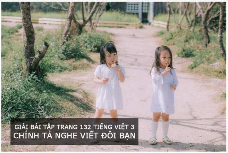 Giải bài tập trang 132 Tiếng Việt 3 Chính tả nghe viết Đôi bạn