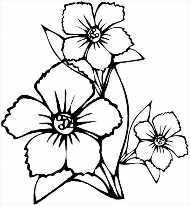 hình ảnh ba bông hoa
