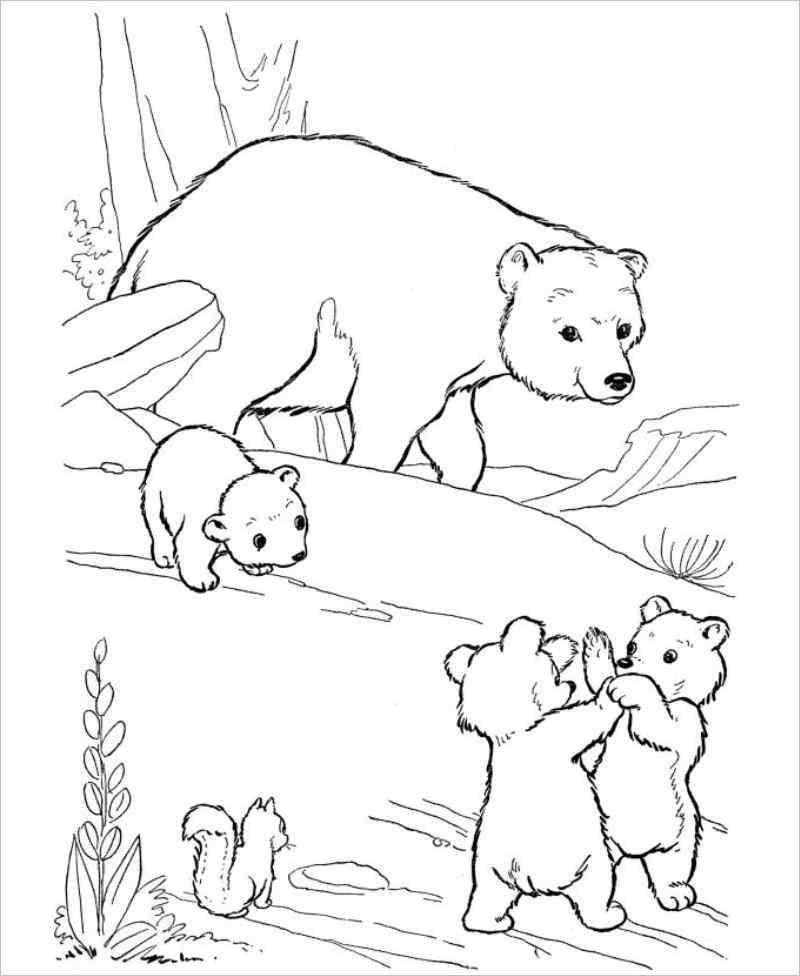 Vẽ Tay Minh Họa Gấu Trúc Nhỏ Dễ Thương  Công cụ đồ họa PSD Tải xuống miễn  phí  Pikbest