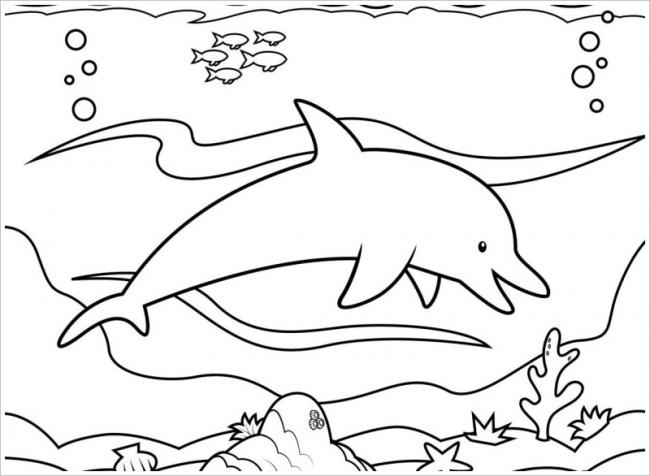 Tô Màu Sách Đại Dương Life Chủ Đề 1 Hình minh họa Sẵn có  Tải xuống Hình  ảnh Ngay bây giờ  Tô màu Ốc anh vũ Cá mập  iStock