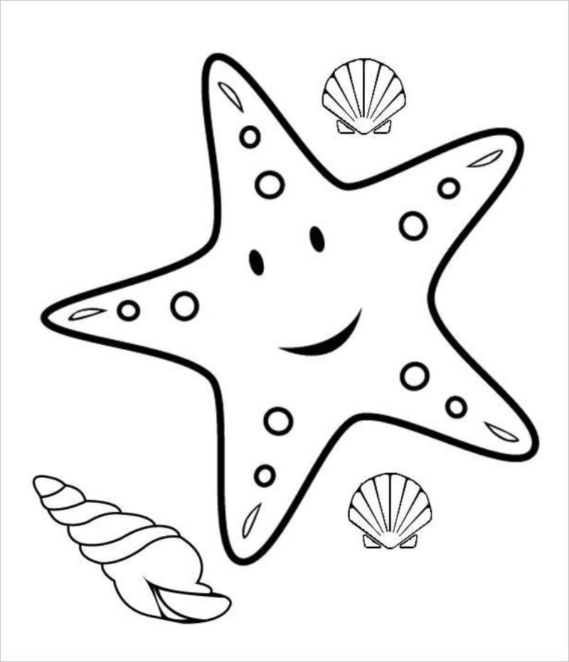 Xem hơn 100 ảnh về hình vẽ con sao biển  daotaonec