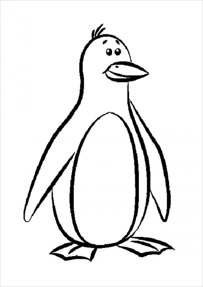 hình ảnh của chim cánh cụt 