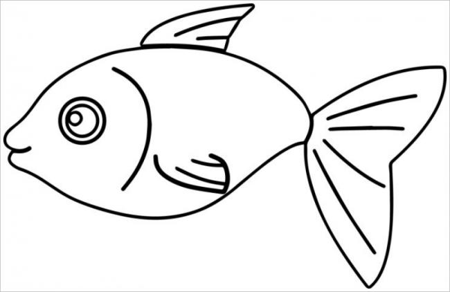 hình ảnh con cá