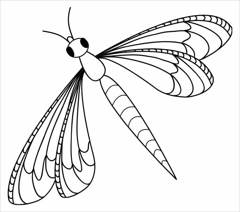 Xem hơn 48 ảnh về hình vẽ con chuồn chuồn đẹp  daotaonec