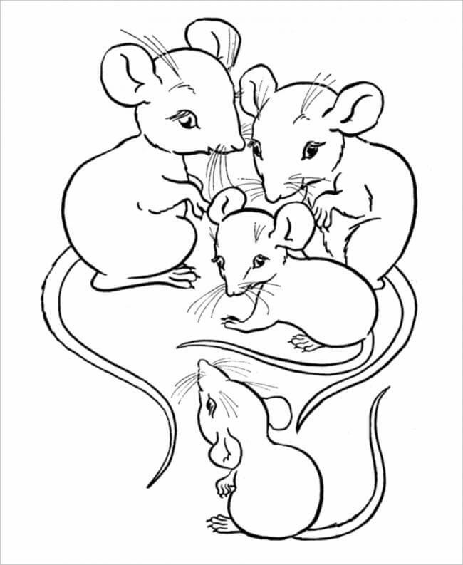 hình ảnh gia đình chuột