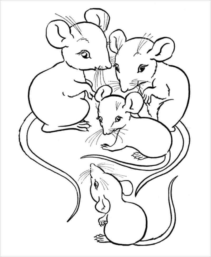 187 tranh tô màu chuột Hamster dễ thương cho bé Update 2023