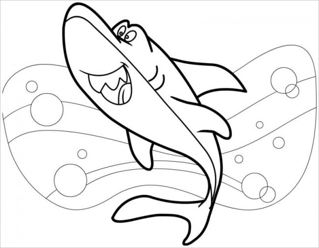 Cách vẽ cá mập xinh đẹp với 5 bước giản dị và đơn giản  Góc Yêu Bé