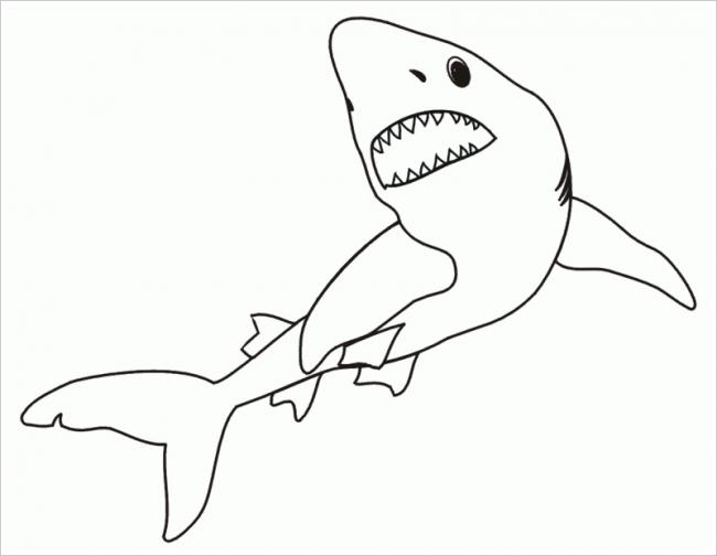Xem rộng lớn 100 hình ảnh về hình vẽ cá mập  daotaonec