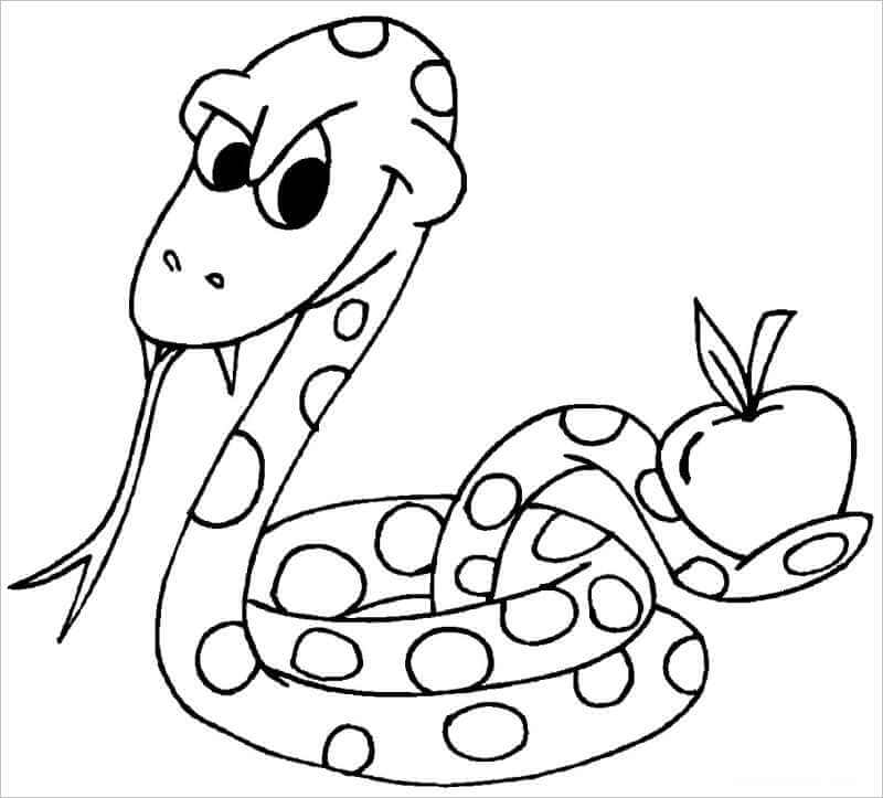 Cách vẽ con rắn đơn giản nhất cho bé Cách vẽ con rắn hổ mang  Đại Việt  Sài Gòn