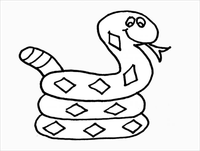 hình ảnh con rắn nhỏ