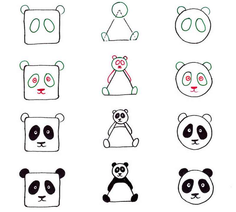 Cách vẽ hình tô màu tranh con gấu trúc Panda cute đáng yêu