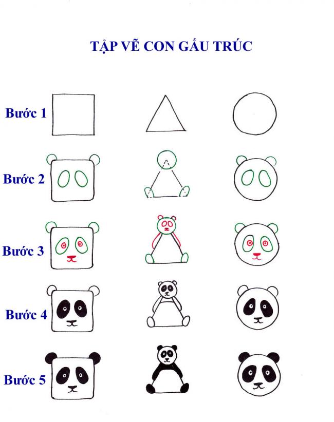 Dạy Bé Tập Vẽ Hình Con Gấu Trúc Từ Hình Vuông Tròn Và Tam Giác